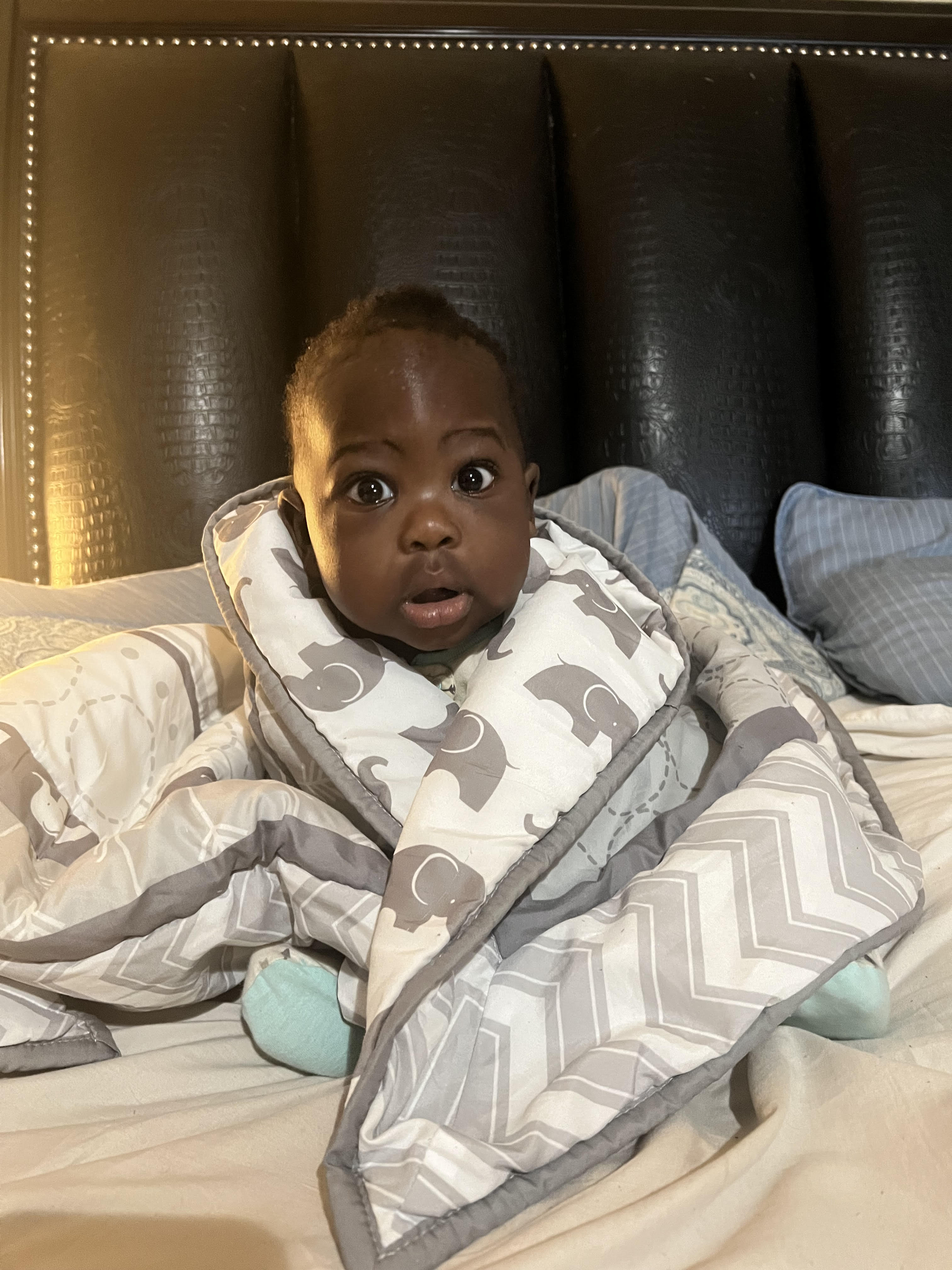 Schon Fluffy LLC, Clothing Brand